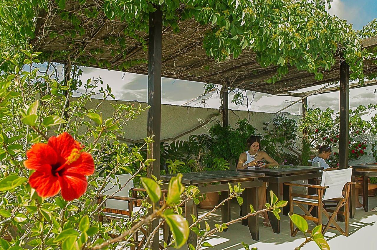 Kalypso Studios & Rooms Palaiochora Ngoại thất bức ảnh